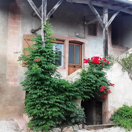 La Maison Moja Prety Luaran gambar